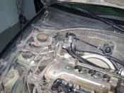 AVENSIS