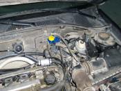 AVENSIS
